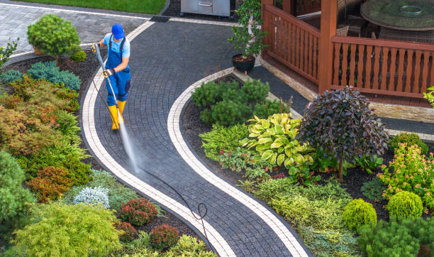 Best Affordable Pressure Washing  in Northampton, PA