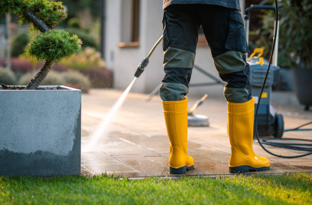 Best Pressure Washing Near Me  in Northampton, PA
